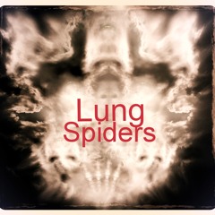 Nelson Baboon & Pörvört - Lung Spider #5