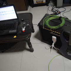 Artec HDN pickups demo, low gain, mic'd