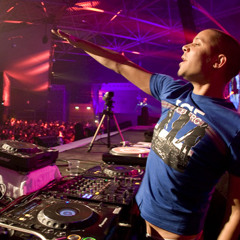 FloRida ft. Sia - Wild One (Wildstylez Bootleg)