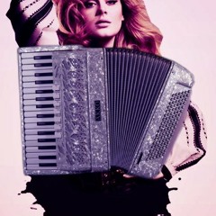 Adele - Skyfall (Instrumental accordion zicro cover)
