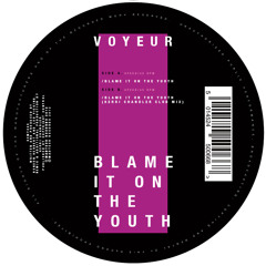 Blame It On The Youth