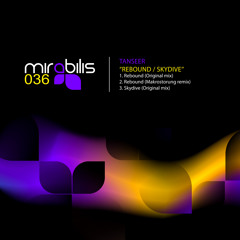 Tanseer - Skydive (Original Mix)_Preview