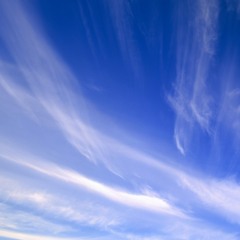 Looping in the Sky