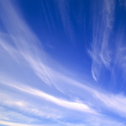 Looping in the Sky