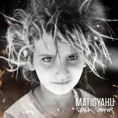 Matisyahu - Live Like A Warrior (Trevor Goodchild Remix)
