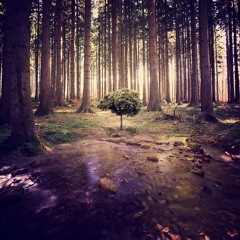 MoNoToN 2o!2 Promo [165 BPM]