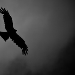 Alan Crown - Eternal (DJ Megan Remix)