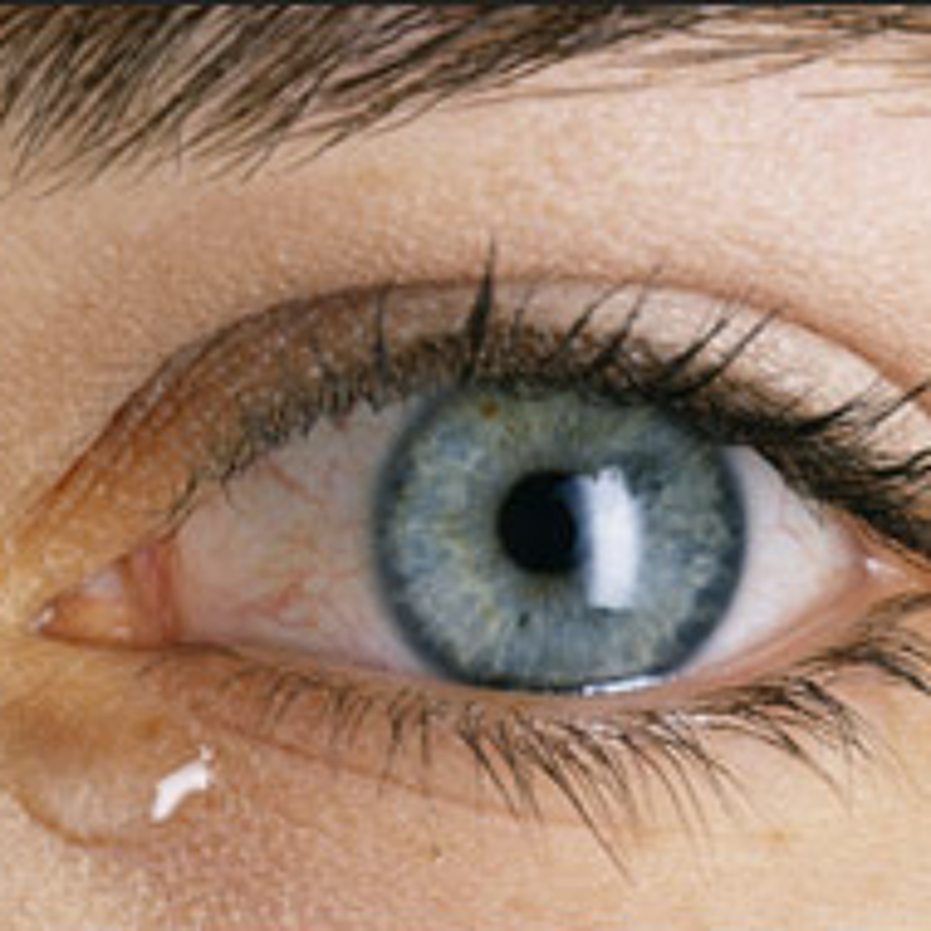 The Justin Johnson Show