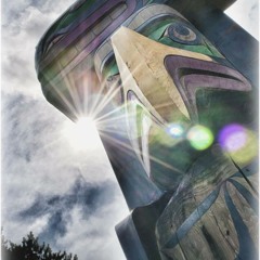 Protonicwave - NATIVEZEROMONIE Preview