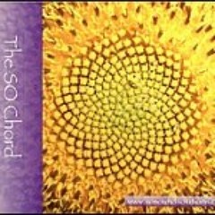 So Chord Bb - Sample Clip