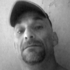 Chienneté de Société