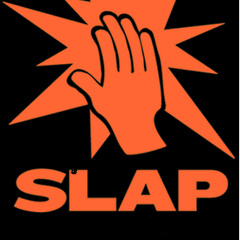 SLAPP (YOU WOULDNT KNOW SHIT BOUT LOVE!