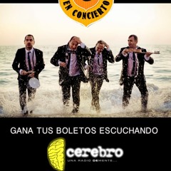 Cerebro Radio - Hombres G
