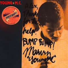 Young MC & Skeewiff - Terrorist!