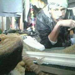 The Fire Horse Riddim