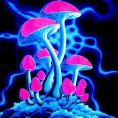 Shrooms