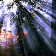 MoodMachine feat. Shea - A Mindless Haze