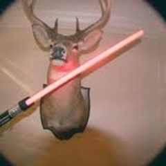 landspeedeer