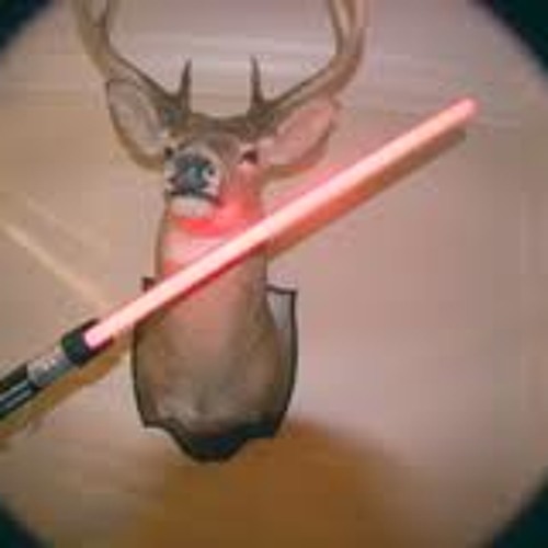 landspeedeer