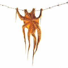 Sunglasses and Mojitos - Jean & Marc-André