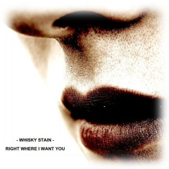 WHISKY STAIN - Right Where I Want You