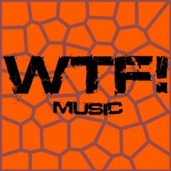 Tio N' Wish - Hey Everybody ( Matt Minimal Remix ) [WTF]