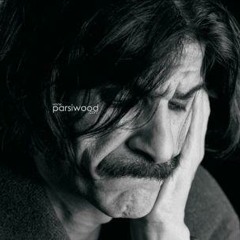 Hosein panahi