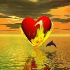 حَوَتْنِى قُلُوبٌ تَعْرِفُ الحُبَّ مَسْلَكً -Hawliya 2011