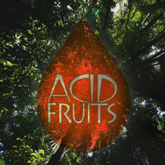 DeMarzo, Jacsun - Canopy (Original Mix)/ Acid Fruits Compilation - OUT NOW