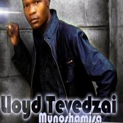 Tichazofana Naye (Lloyd Tevedzai)