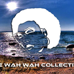 The Wah Wah Collective 'You Are Somebody'
