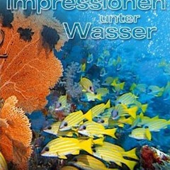Giorgio Moroder - Underwater Impressions (2003) - Full Soundtrack