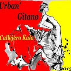 Flamenco urbano instrue