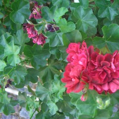 What Doesn't Kill You (make's you stronger)