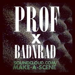 PROF X BADNRAD