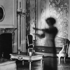 Wicked Cracks – Arabian Safari