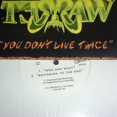 Terraw - Beginning To The End (1999)