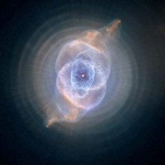 protonoise; guidelines for resistance against tyranny (steve williams vox)