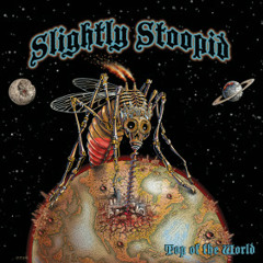 Slightly Stoopid - Top Of The World (Vade Retro Remix)