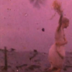 Open Fields (Demo)