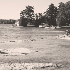 Sky Barbarick - Paper Legs