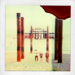 Seagulls (Early Version)