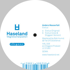 Evoluz - Haseland Magnetschallplatten