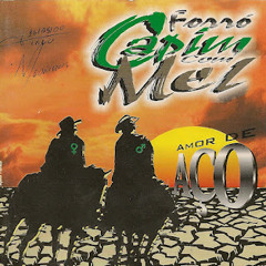Como esquecer - Capim com Mel