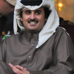 قصيدة ناصر الفراعنة ينتخي الشيخ تميم بن حمد للافراج عن الشاعر محمد الذيب