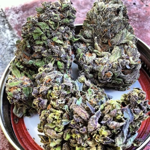 Devo- Danks In My Blunt (Drank In My Cup Instrumental)