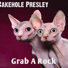 Grab a Rock - Cakehole Presley ♪