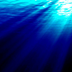 Plunge (Demo)