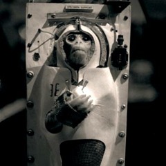 GODS TOYS - All American Dream