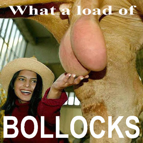 Techno Bollocks